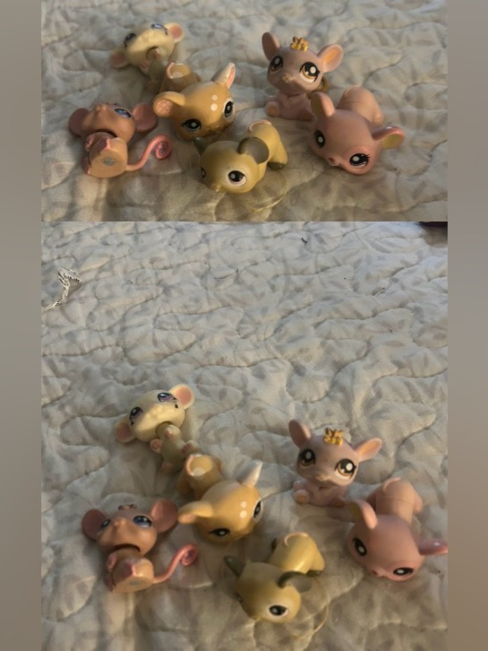 lps pack